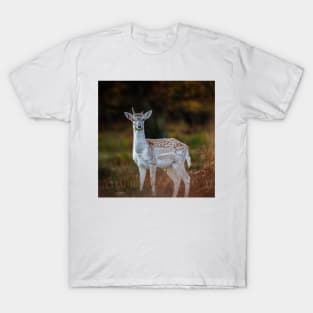 Fallow Deer, Richmond Park, London T-Shirt